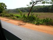 View from a car travelling on NH47